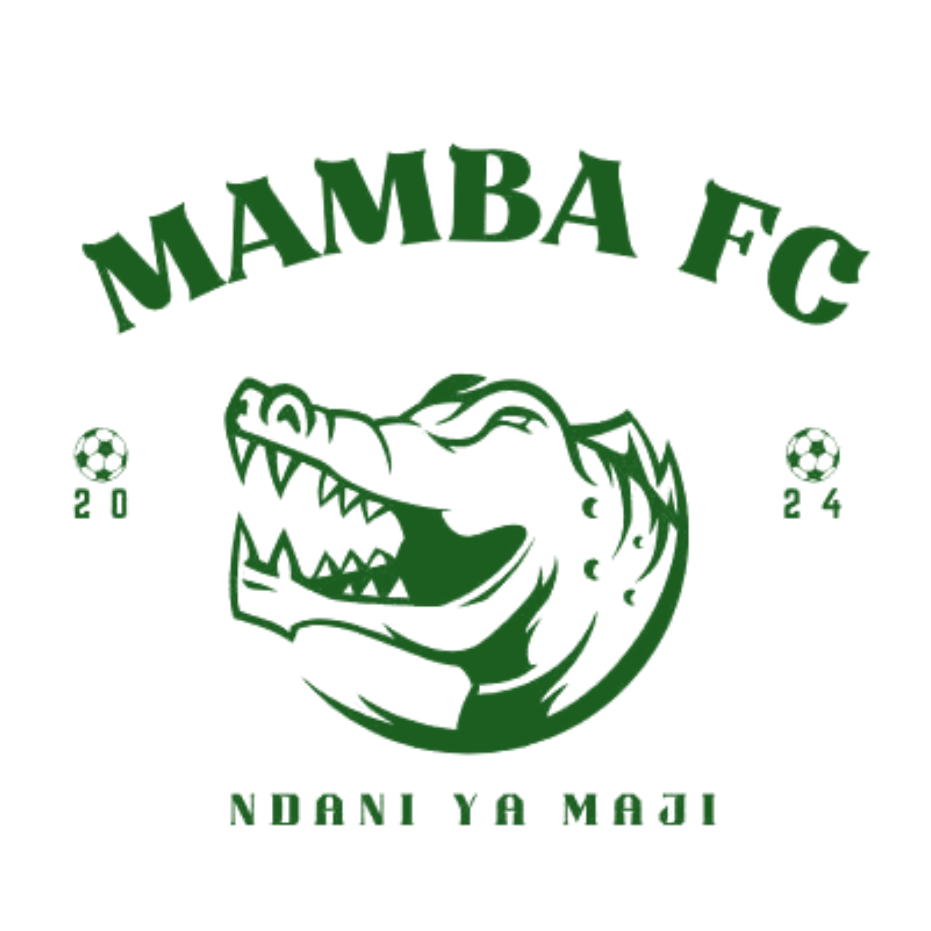 MAMBA FOOTBALL CLUB